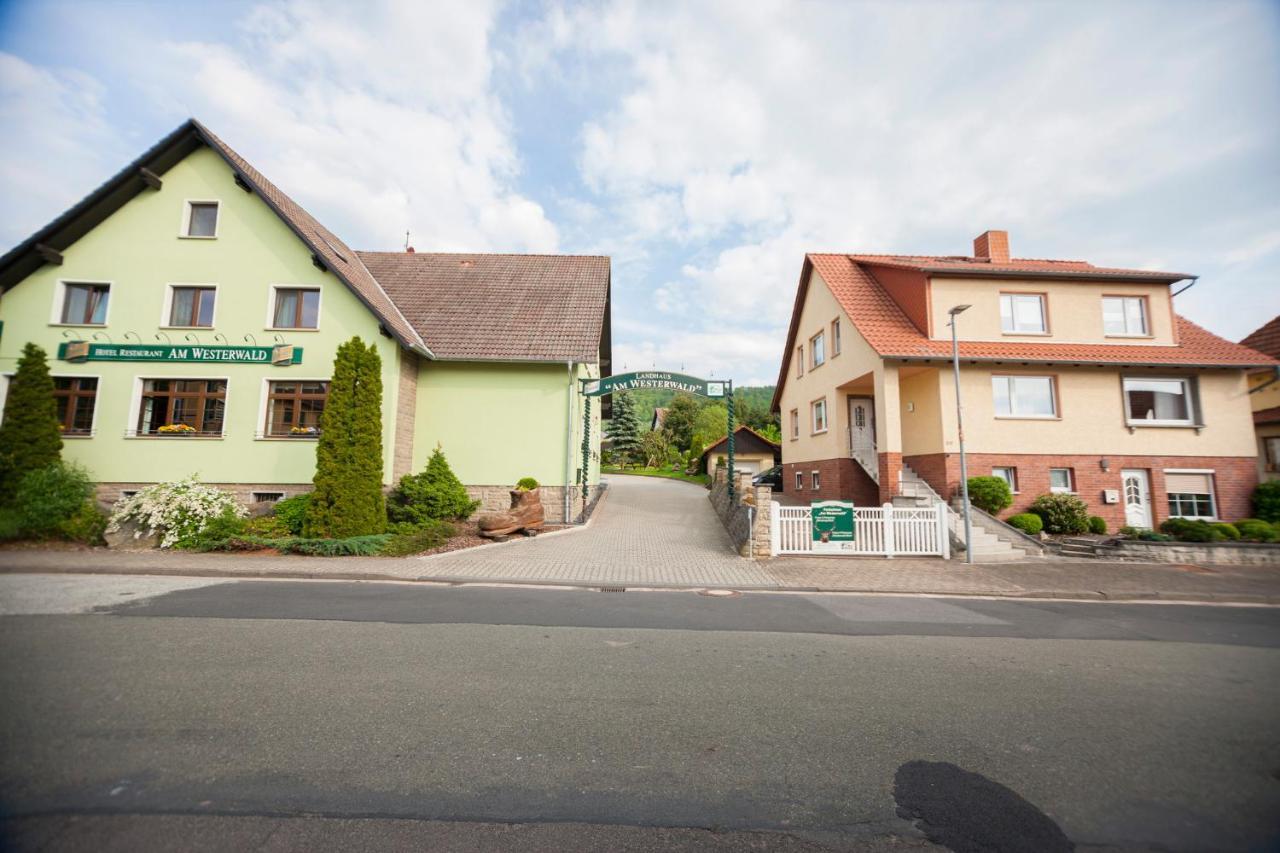 Ferienhaus Og1 "Westerwald Blick" Martinfeld Exterior foto