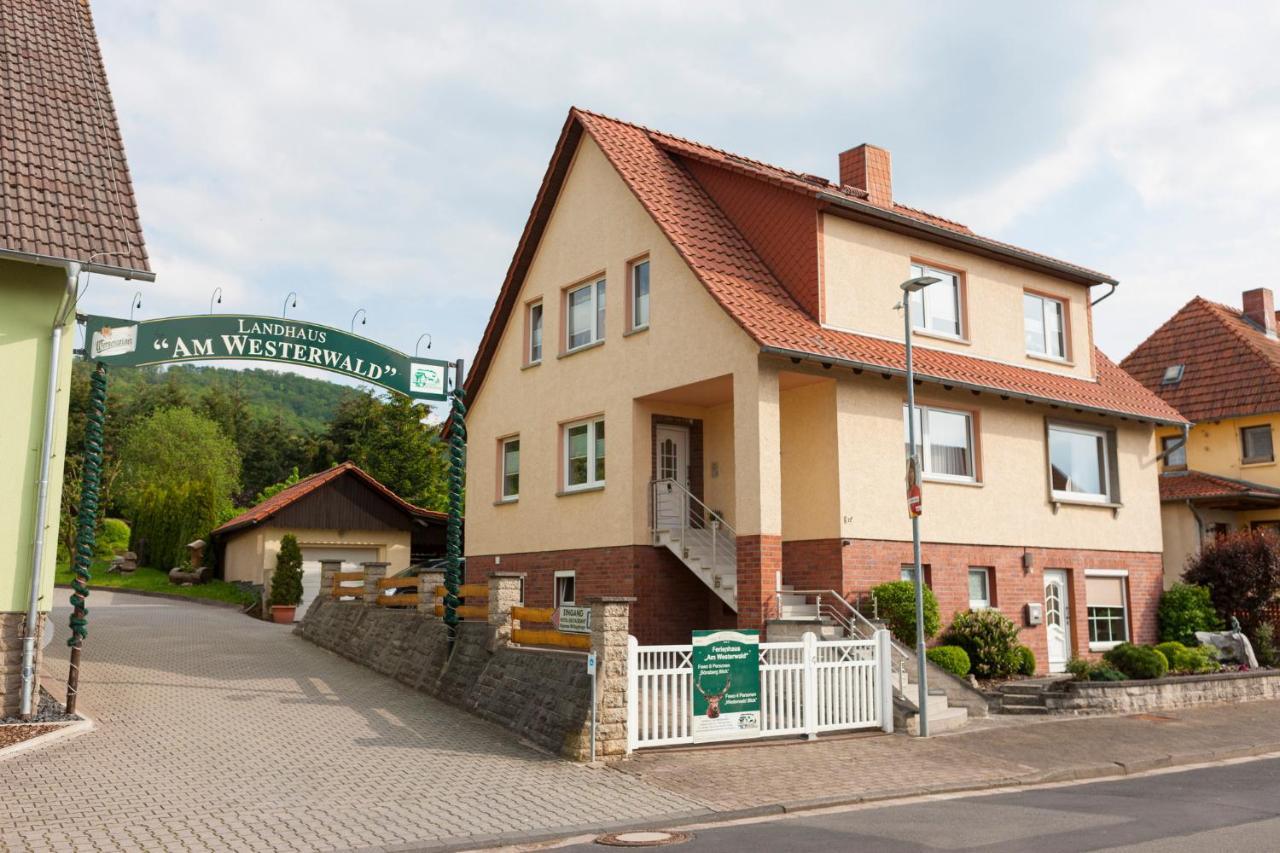 Ferienhaus Og1 "Westerwald Blick" Martinfeld Exterior foto